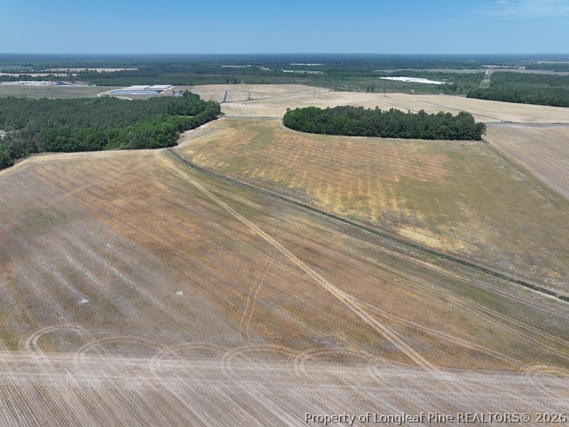 Tbd North Duffie Road Red Springs, NC 28377 - Photo 8 of 24