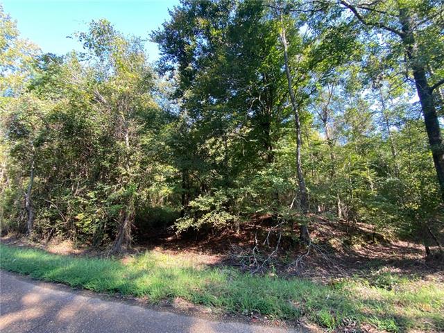 0 Jeremy Road Olla, LA 71465 - Photo 2 of 3 Gallery Image 2