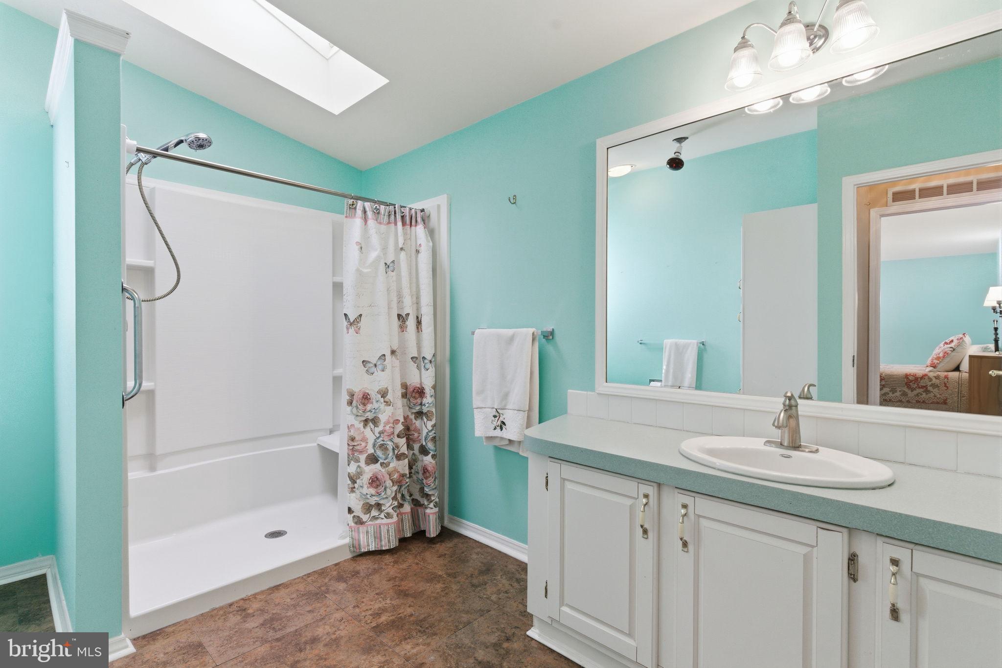 435 Spring Meadow Circle New Hope, PA 18938 - Photo 26 of 38 a bathroom with a shower sink and mirror