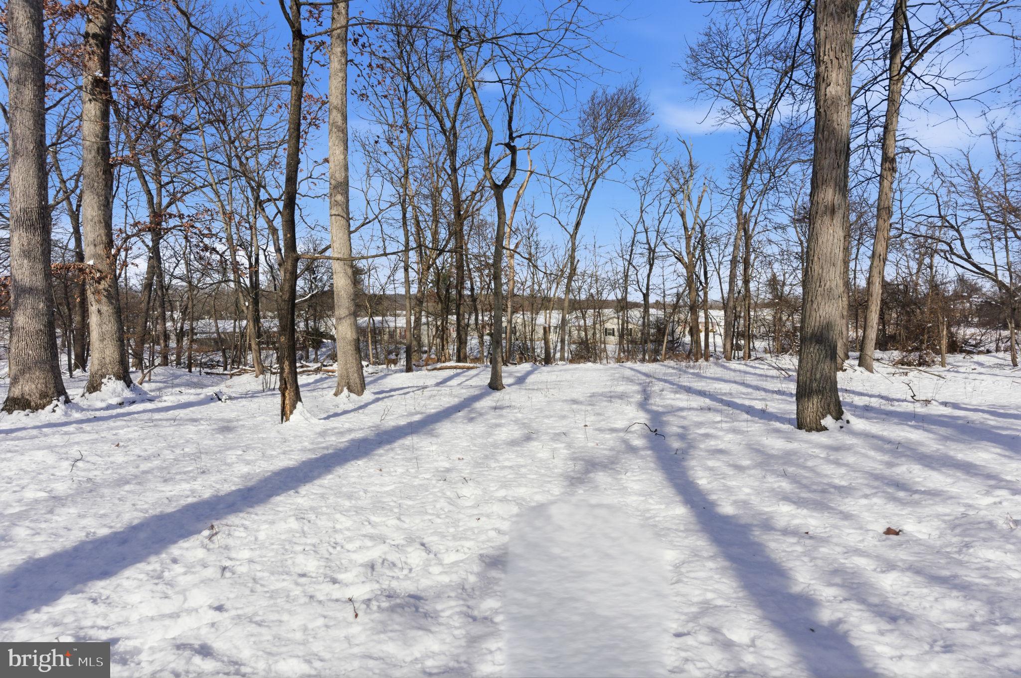 435 Spring Meadow Circle New Hope, PA 18938 - Photo 34 of 38 a view of road covered with snow