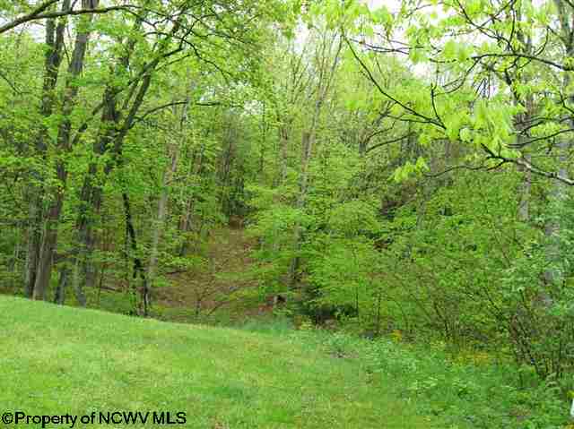 651 Endova Road Rock Cave, WV 26234 - Photo 10 of 19 Gallery Image 10
