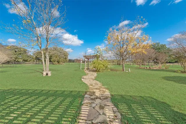 a view of a park with large trees