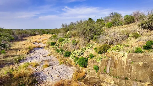 a view of a yard with an outdoor space
