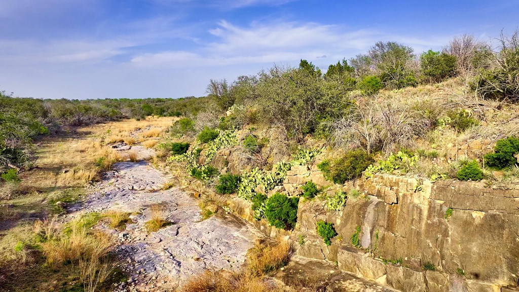7461 Triplet Mill Road Mason, TX 76856 - Photo 11 of 46 a view of a yard with a tree