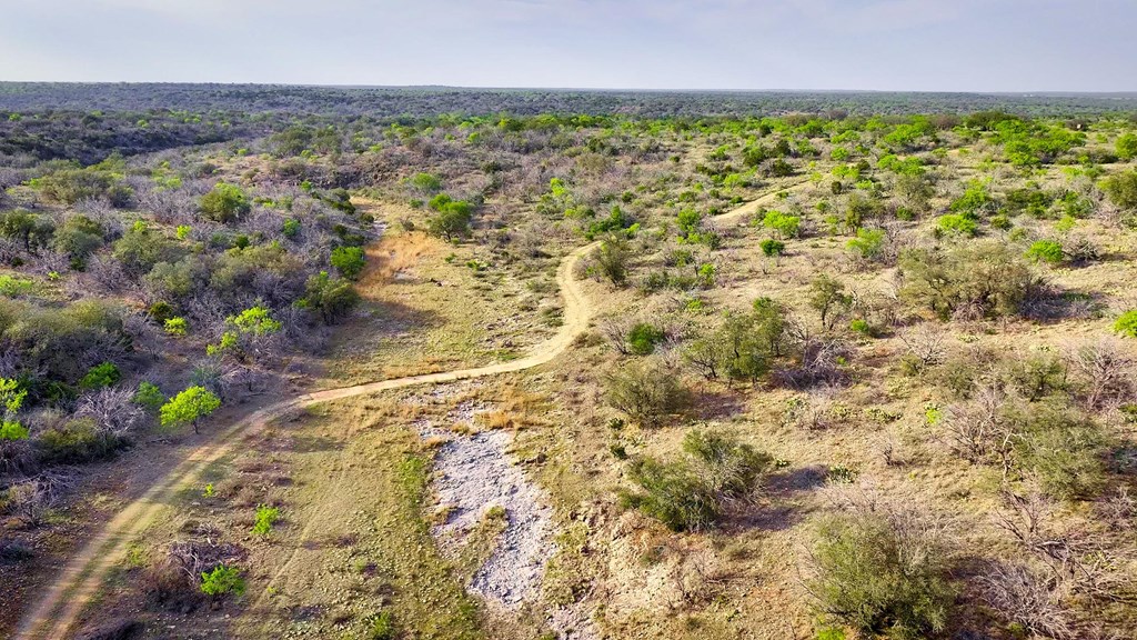 7461 Triplet Mill Road Mason, TX 76856 - Photo 13 of 46 a view of a yard with an outdoor space