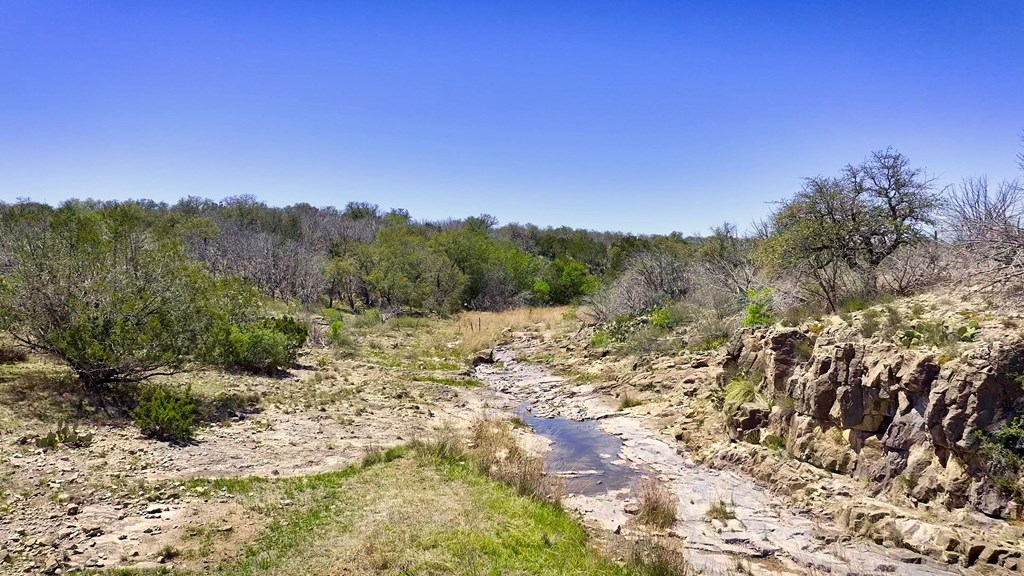 7461 Triplet Mill Road Mason, TX 76856 - Photo 15 of 46 a view of a field with a tree in the background