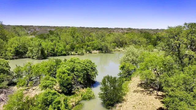 a view of a yard with wooden fence