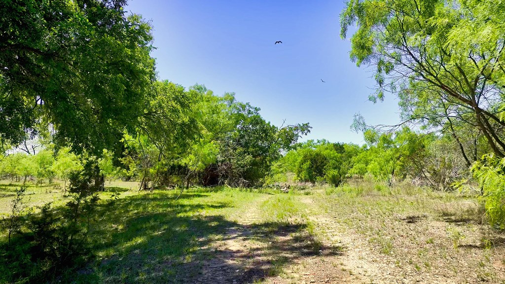 7461 Triplet Mill Road Mason, TX 76856 - Photo 21 of 46 a view of a garden with a tree