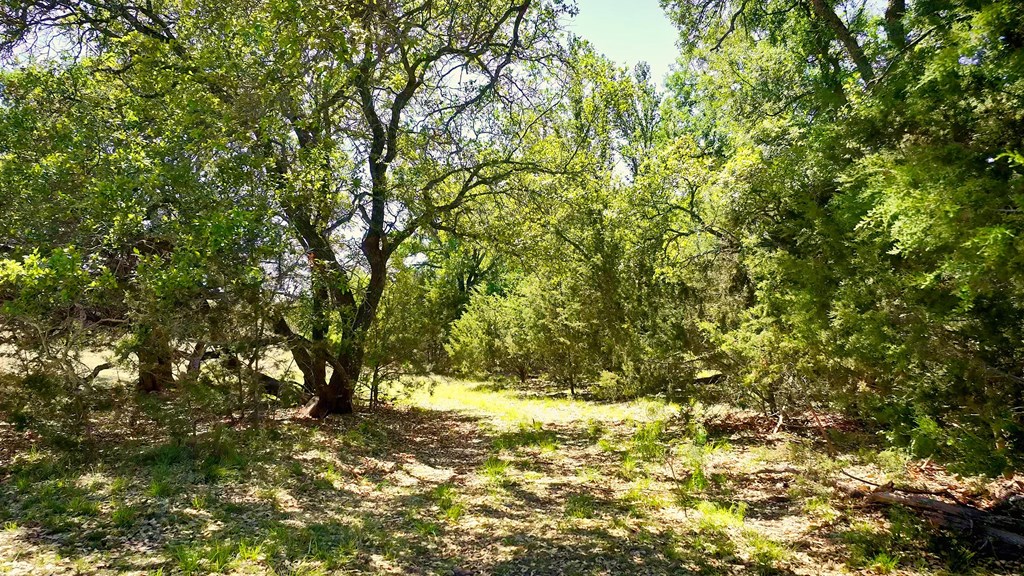7461 Triplet Mill Road Mason, TX 76856 - Photo 22 of 46 a view of mountain view