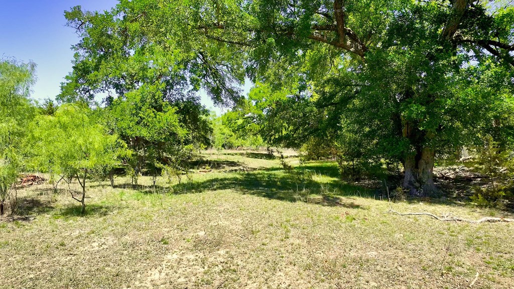 7461 Triplet Mill Road Mason, TX 76856 - Photo 23 of 46 a big yard with lots of green space and trees