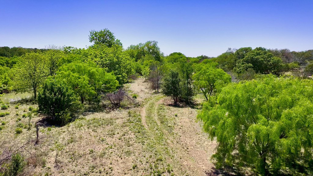 7461 Triplet Mill Road Mason, TX 76856 - Photo 24 of 46 a backyard of a house with lots of green space and mountain view
