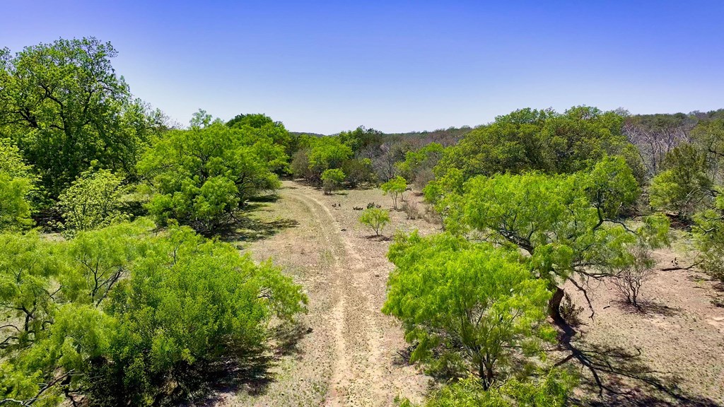 7461 Triplet Mill Road Mason, TX 76856 - Photo 25 of 46 a view of a city with lush green forest