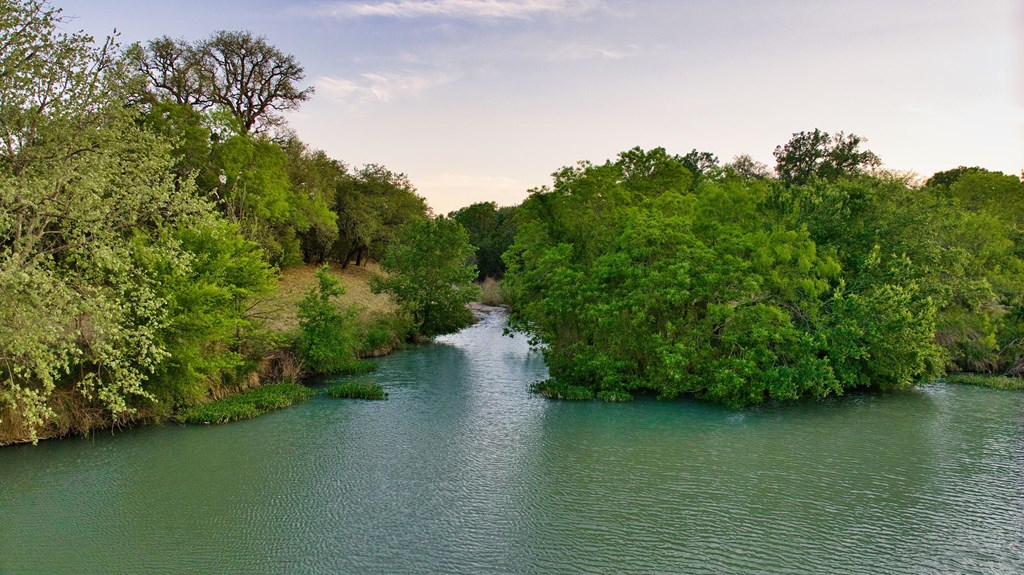 7461 Triplet Mill Road Mason, TX 76856 - Photo 3 of 46 a view of a green field with lots of bushes
