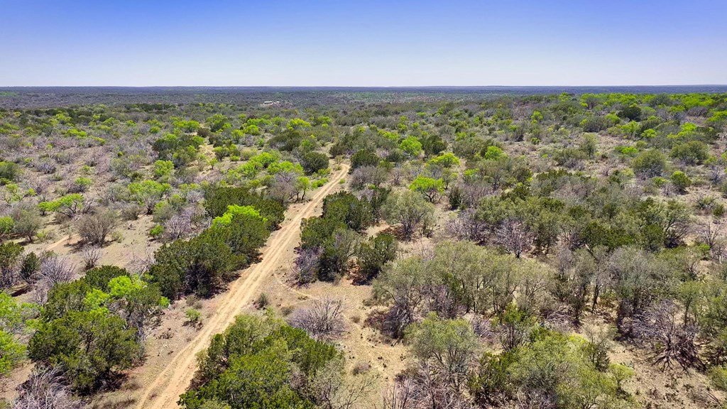 7461 Triplet Mill Road Mason, TX 76856 - Photo 37 of 46 a view of a city with lush green forest