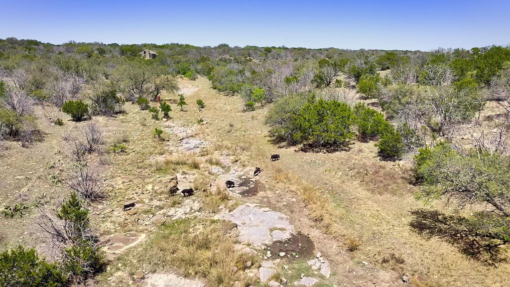 7461 Triplet Mill Road Mason, TX 76856 - Photo 38 of 46 a view of a mountain in the distance