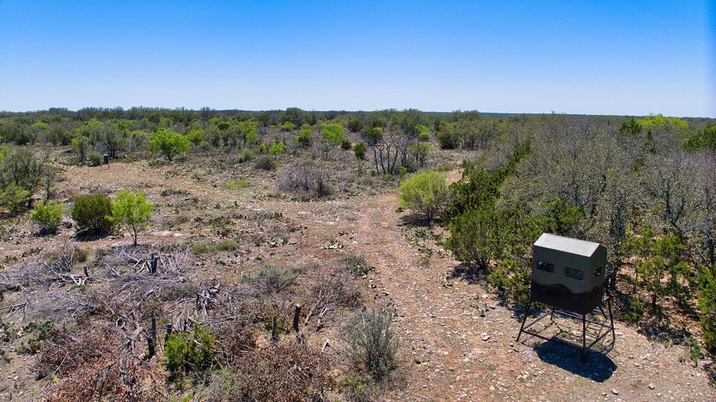 7461 Triplet Mill Road Mason, TX 76856 - Photo 39 of 46 a view of a mountain with a forest