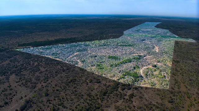 $12,639,000 | 7461 Triplet Mill Road, Mason, TX 76856