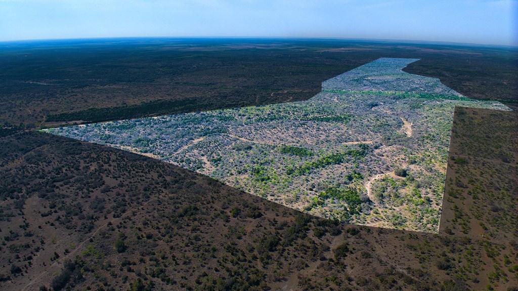 7461 Triplet Mill Road Mason, TX 76856 - Photo 44 of 46 a view of a dry yard with wooden floor and fence