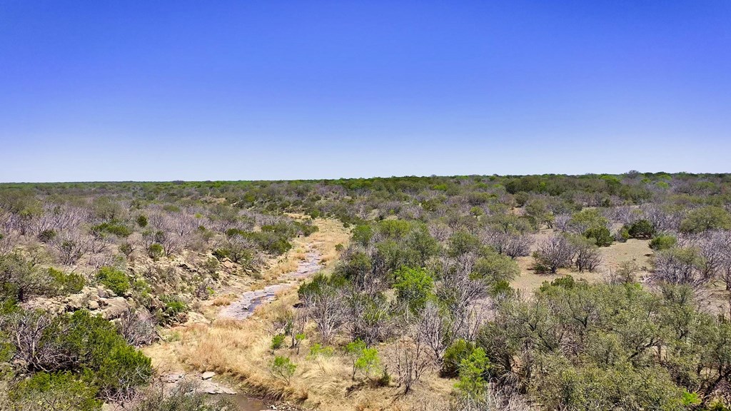 7461 Triplet Mill Road Mason, TX 76856 - Photo 9 of 46