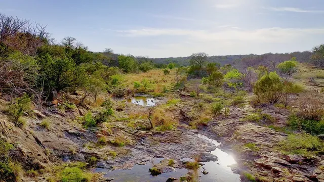 a view of yard with outdoor space