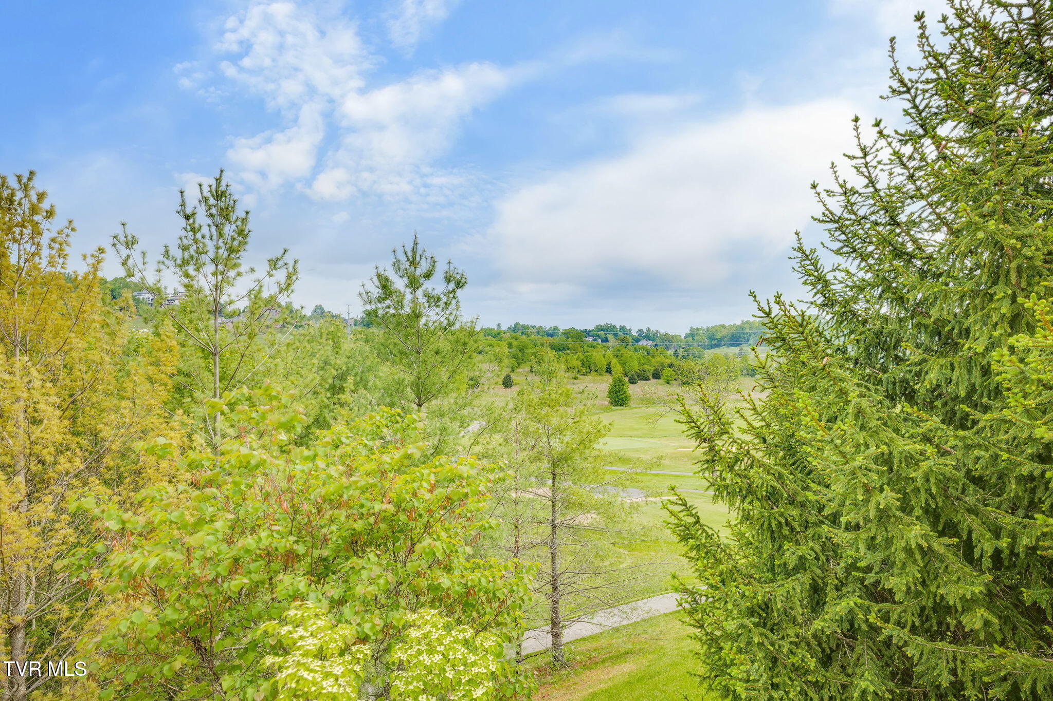 119 Quail Ridge Way Jonesborough, TN 37659 - Photo 52 of 59 055