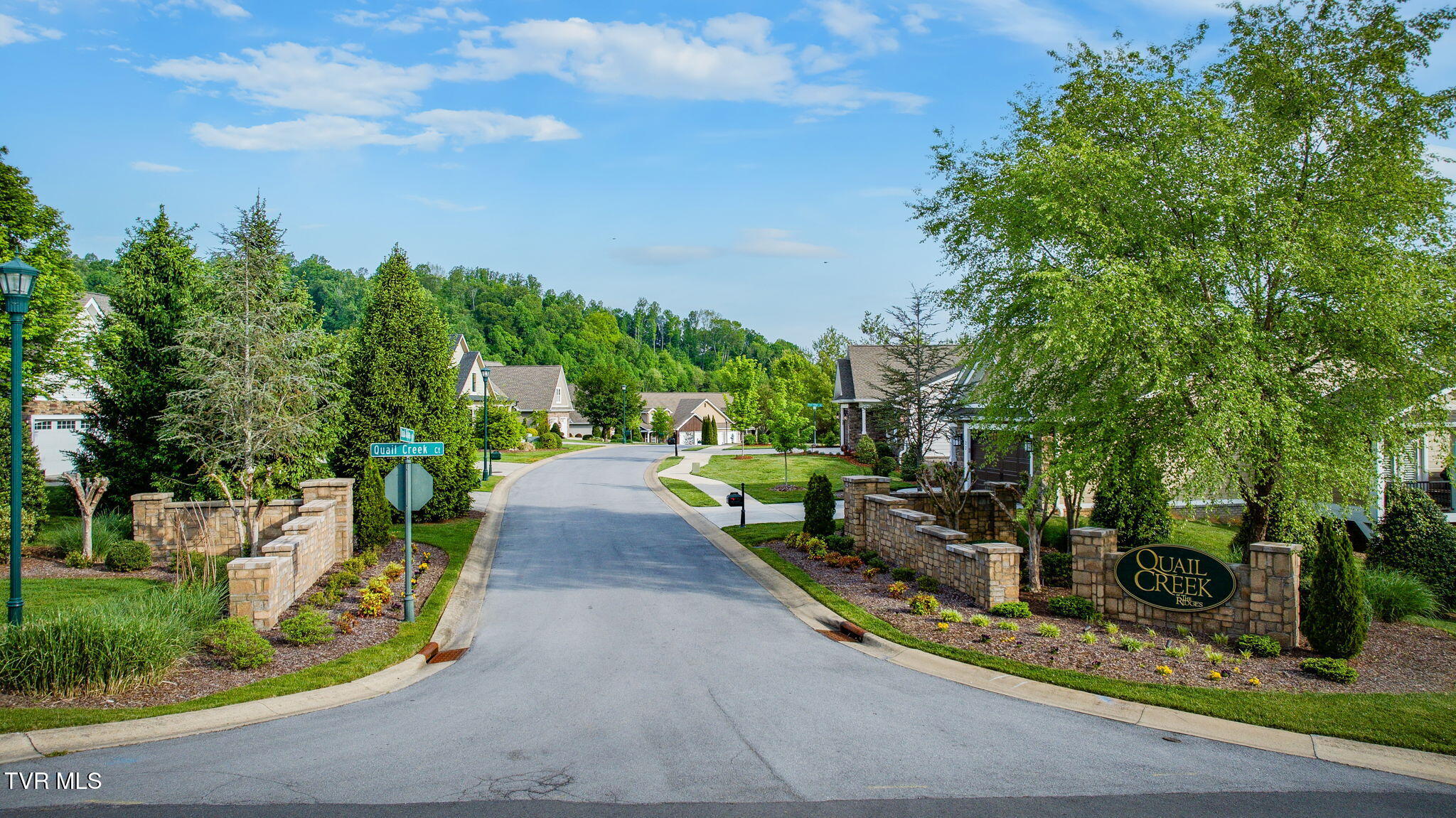 119 Quail Ridge Way Jonesborough, TN 37659 - Photo 54 of 59 108