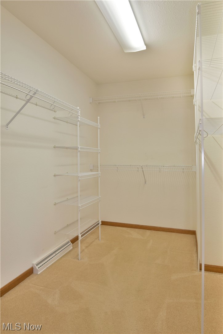 2033 East River Road, Unit 11 Newton Falls, OH 44444 - Photo 23 of 35 Wardrobe with light carpet and baseboard heating