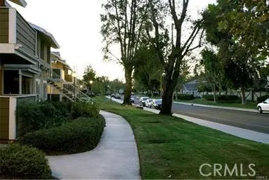 a view of a street with a large trees
