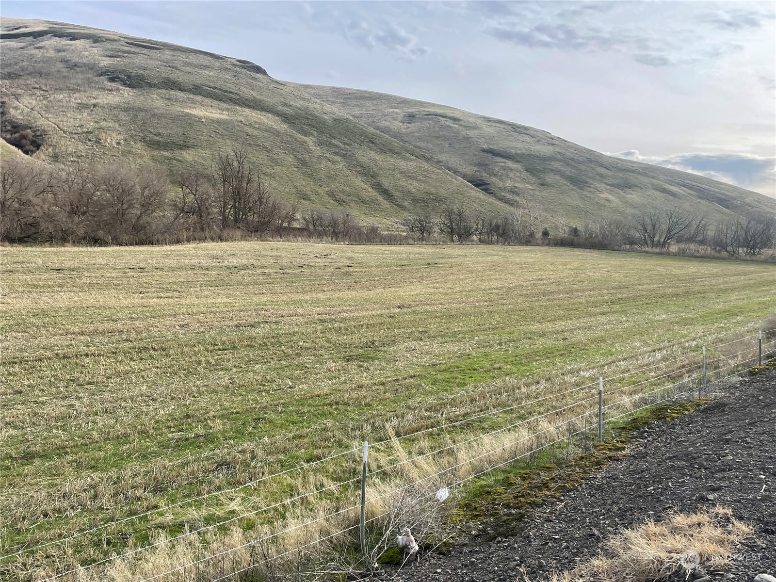 0 Kellogg Hollow Road Dayton, WA 99328 - Photo 1 of 4