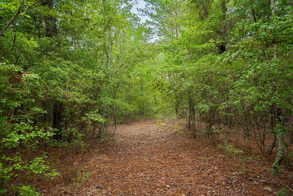 1480-1482 Wire Road Aiken, SC 29805 - Photo 90 of 102 Gallery Image 90