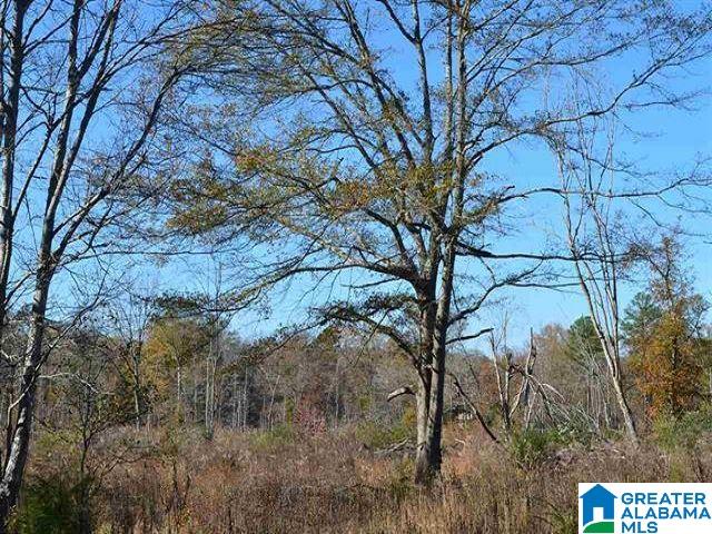 6605 Pocahontas Road, Unit 13 Bessemer, AL 35022 - Photo 2 of 2