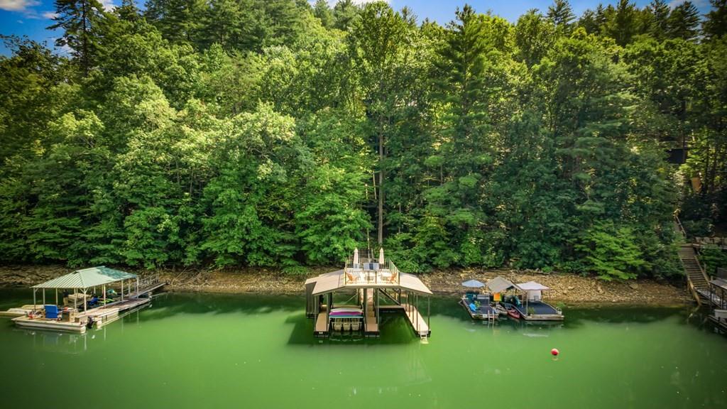 571 Misty Mountain Trail Morganton, GA 30560 - Photo 3 of 90