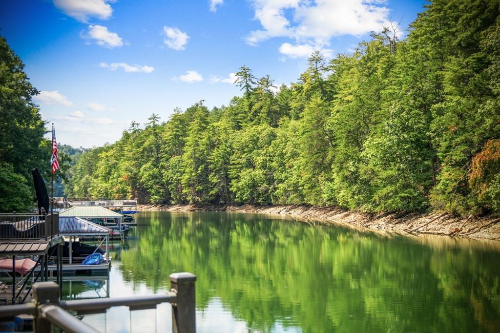 571 Misty Mountain Trail Morganton, GA 30560 - Photo 75 of 90