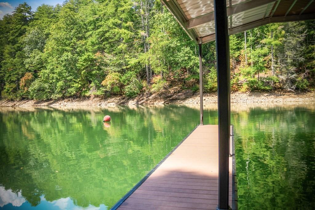 571 Misty Mountain Trail Morganton, GA 30560 - Photo 77 of 90