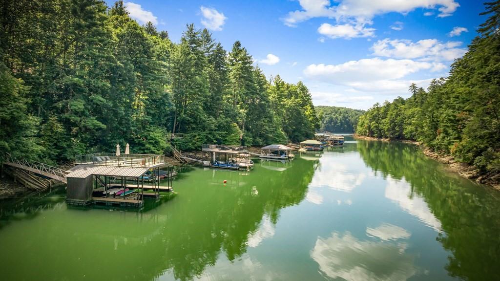 571 Misty Mountain Trail Morganton, GA 30560 - Photo 8 of 90