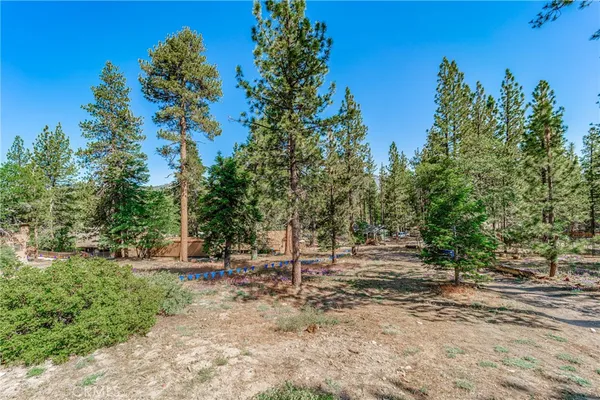 a view of outdoor space with trees