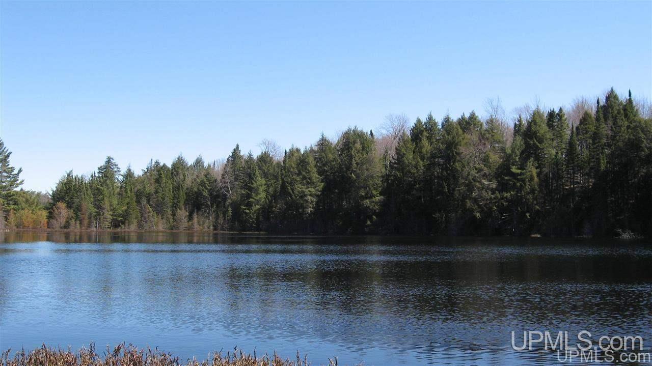0 Co Road, Unit BECKS LAKE McMillan, MI 49853 - Photo 1 of 5