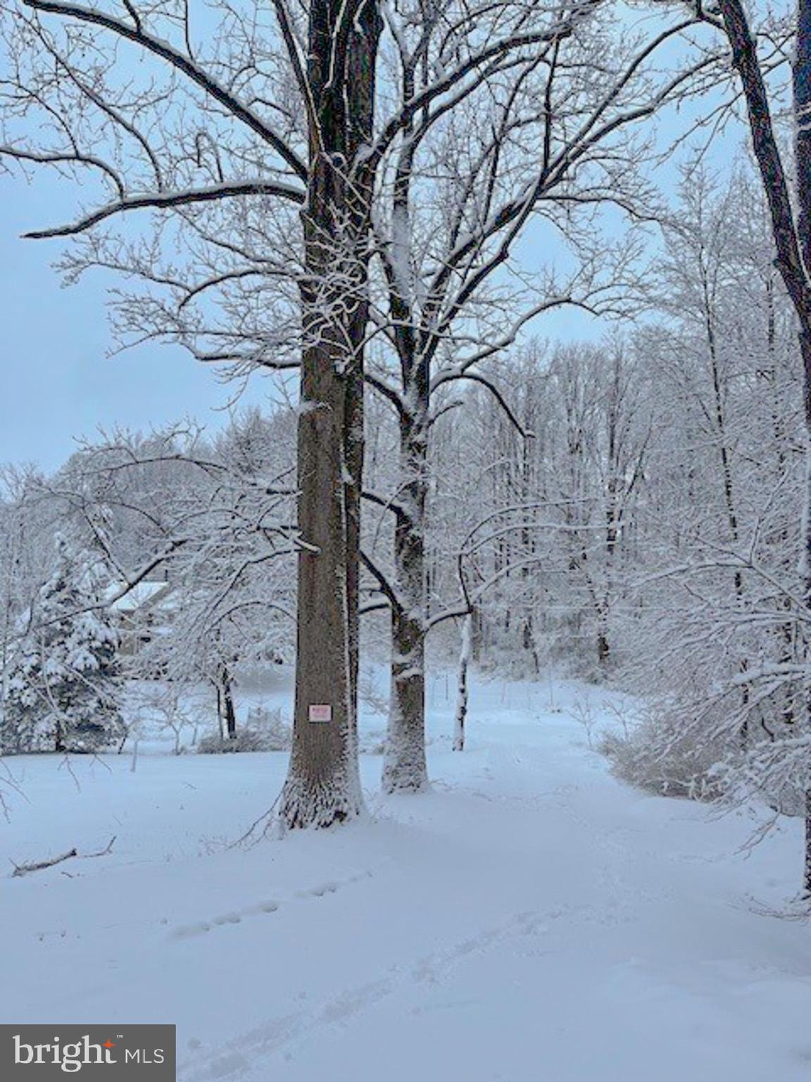 988 Kratz Road Glen Rock, PA 17327 - Photo 72 of 97