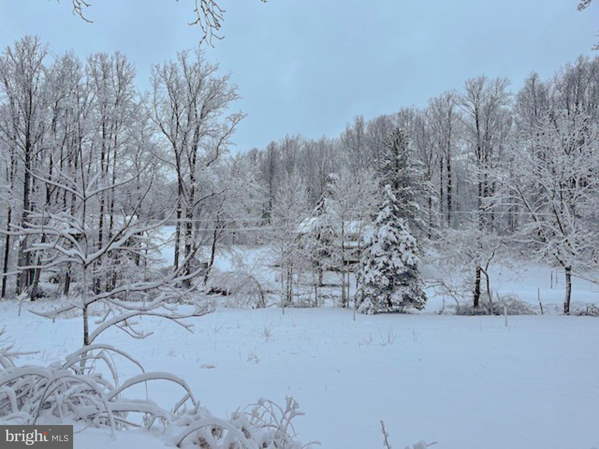 988 Kratz Road Glen Rock, PA 17327 - Photo 74 of 97 a view of a dry yard with trees in the background