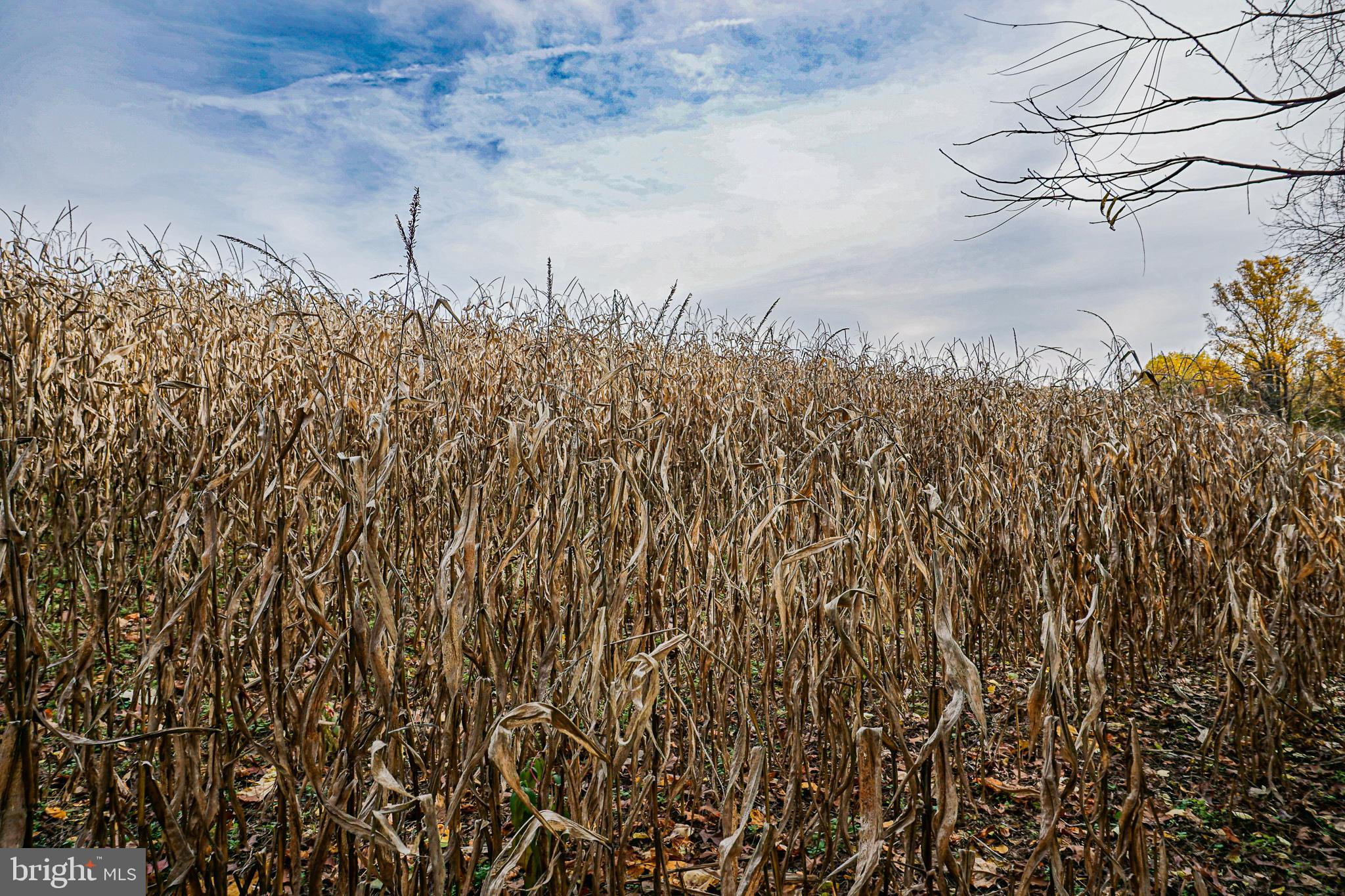 988 Kratz Road Glen Rock, PA 17327 - Photo 88 of 97