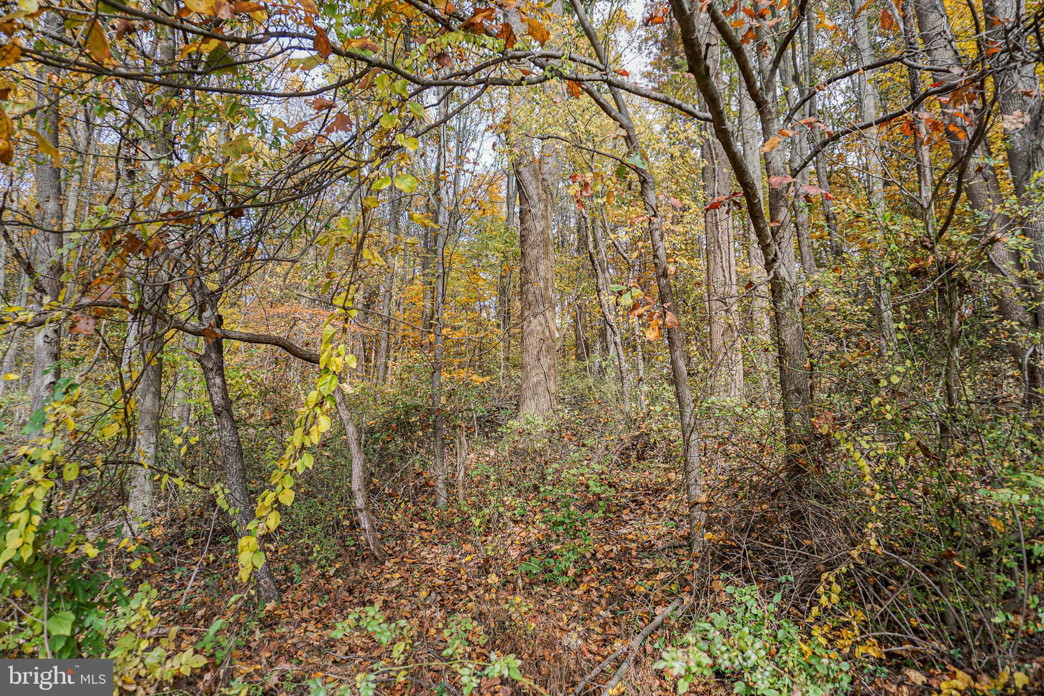 988 Kratz Road Glen Rock, PA 17327 - Photo 91 of 97