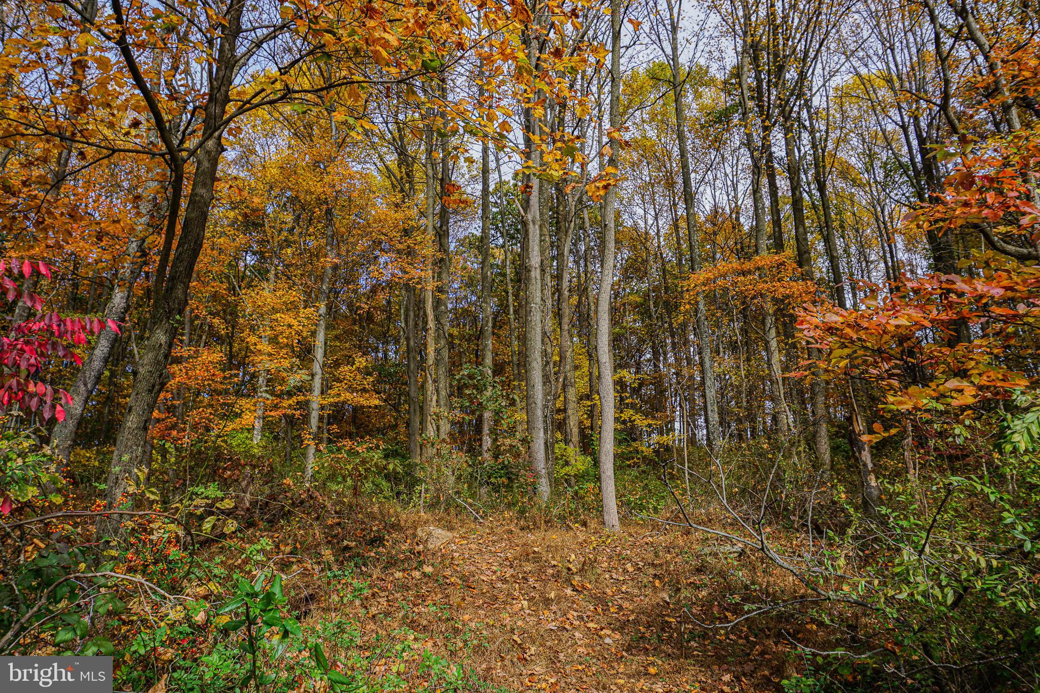 988 Kratz Road Glen Rock, PA 17327 - Photo 92 of 97