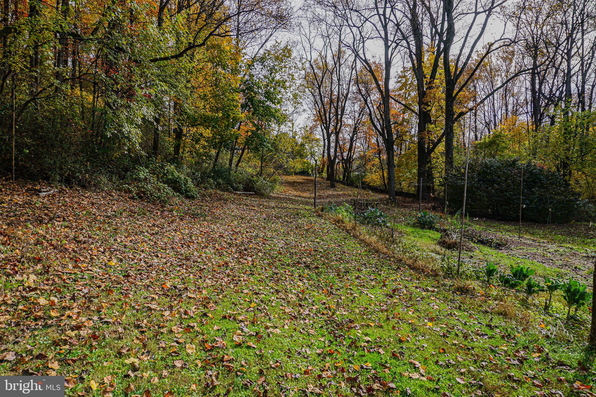988 Kratz Road Glen Rock, PA 17327 - Photo 94 of 97 a view of a yard with plants and trees