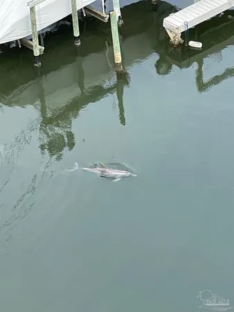 $870,000 | 28250 Canal Road, Unit 908, Orange Beach, AL 36561