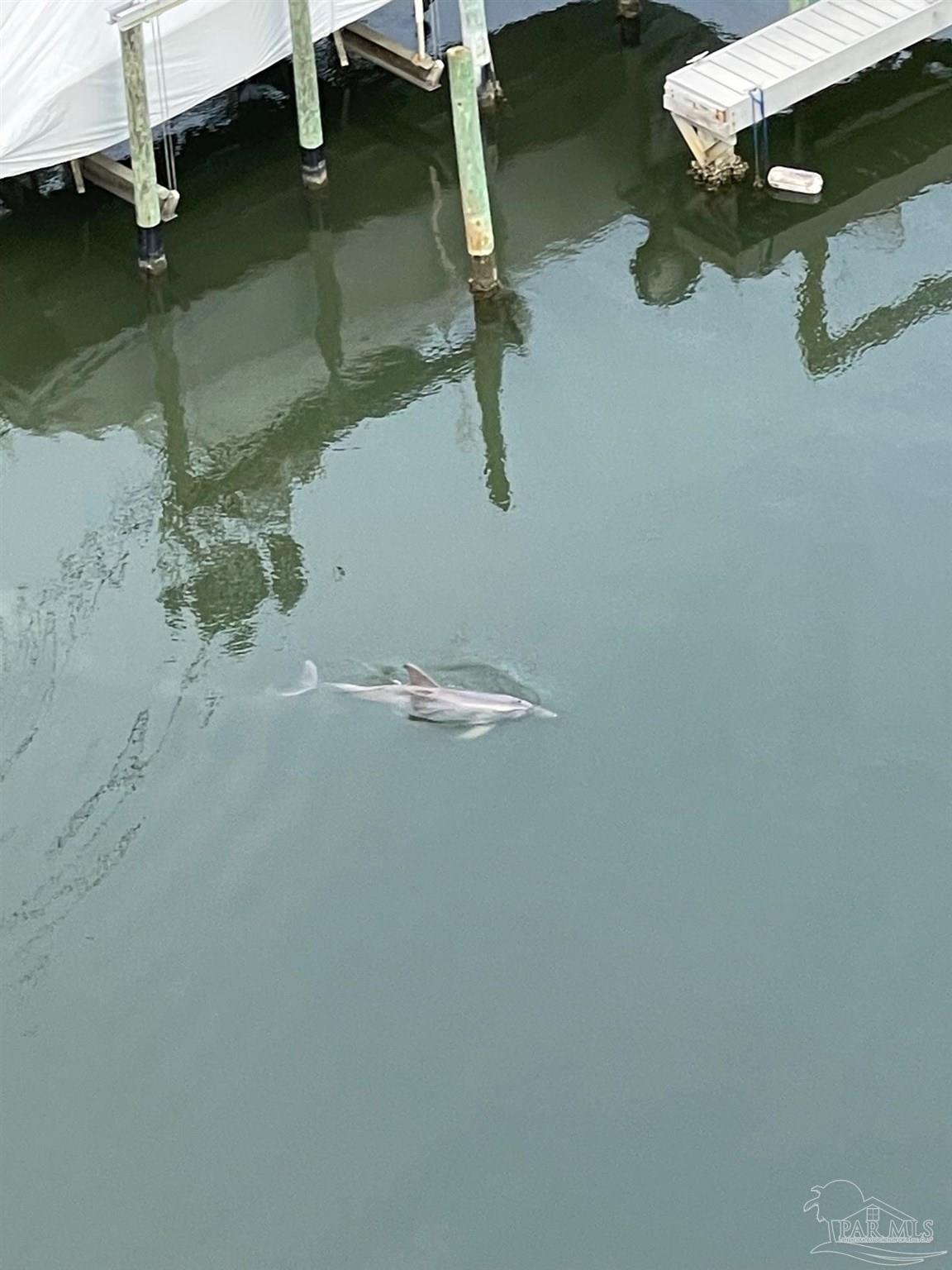 28250 Canal Road, Unit 908 Orange Beach, AL 36561 - Photo 39 of 41