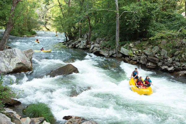 $1,995,000 | 295-291 Dills Road, Bryson City, NC 28713