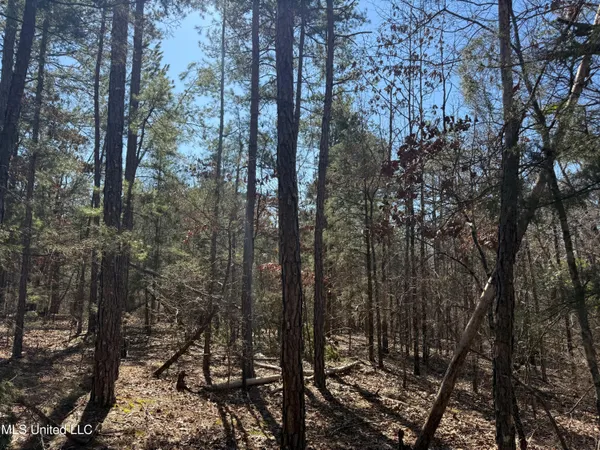 $179,000 | 186 County Road, Coffeeville, MS 38922
