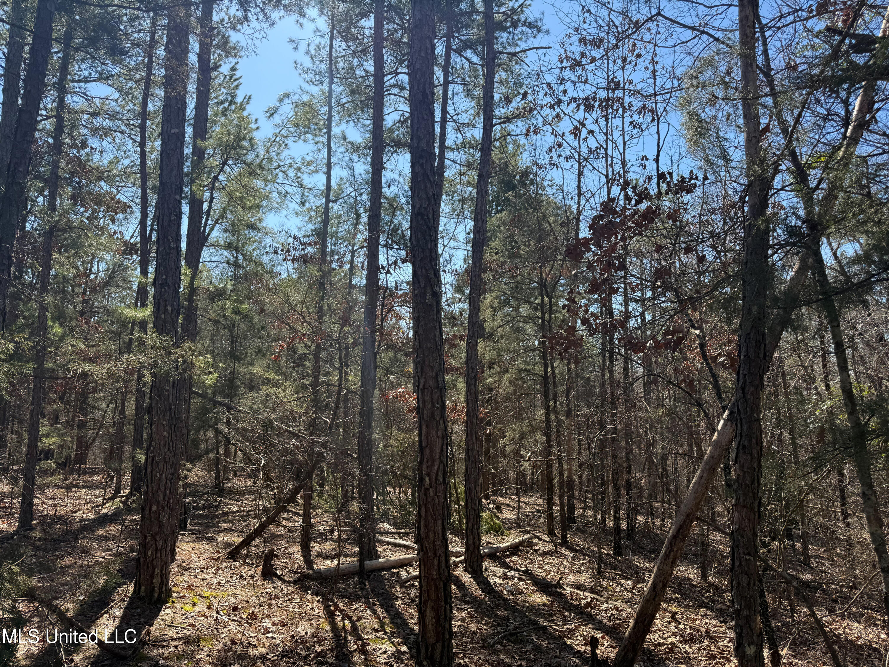 186 County Road Coffeeville, MS 38922 - Photo 12 of 26 IMG_9891