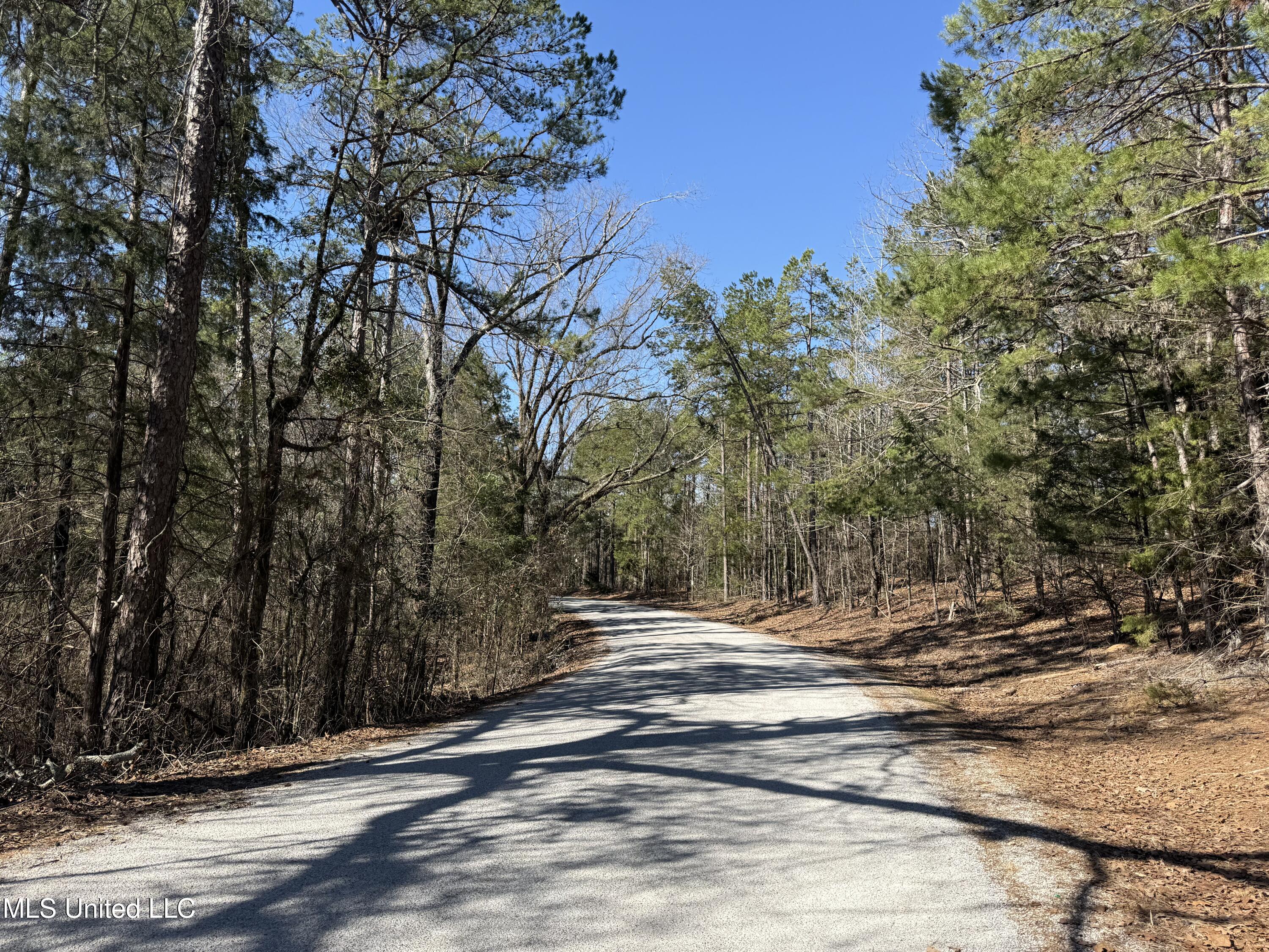 186 County Road Coffeeville, MS 38922 - Photo 13 of 26 IMG_9889