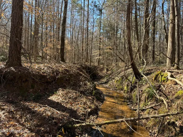 $179,000 | 186 County Road, Coffeeville, MS 38922